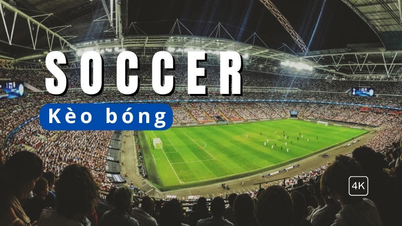  Thể thao 78WIN cung cấp nhiều bộ môn lý tưởng cho cược xâu.